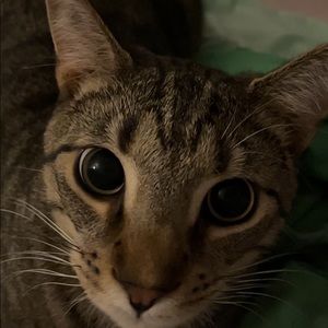 Meet your Posher, Natalie